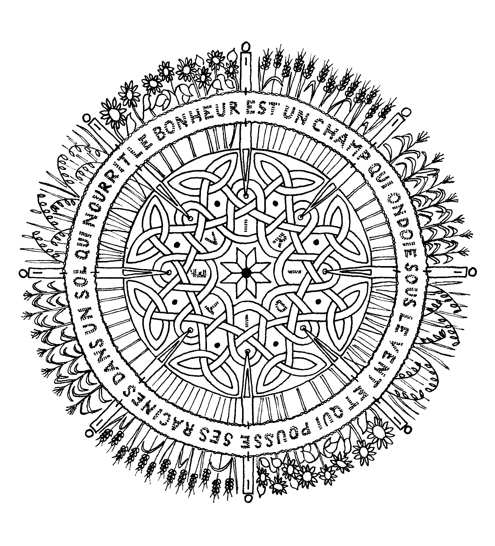 A Mandala Coloring page with flowers around, and strange arabesques inside